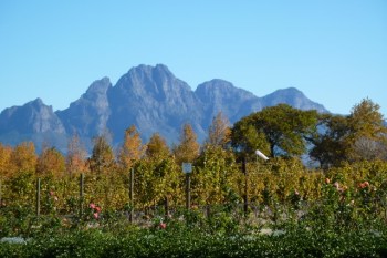 Oh no not another beautiful Cape mountain scene