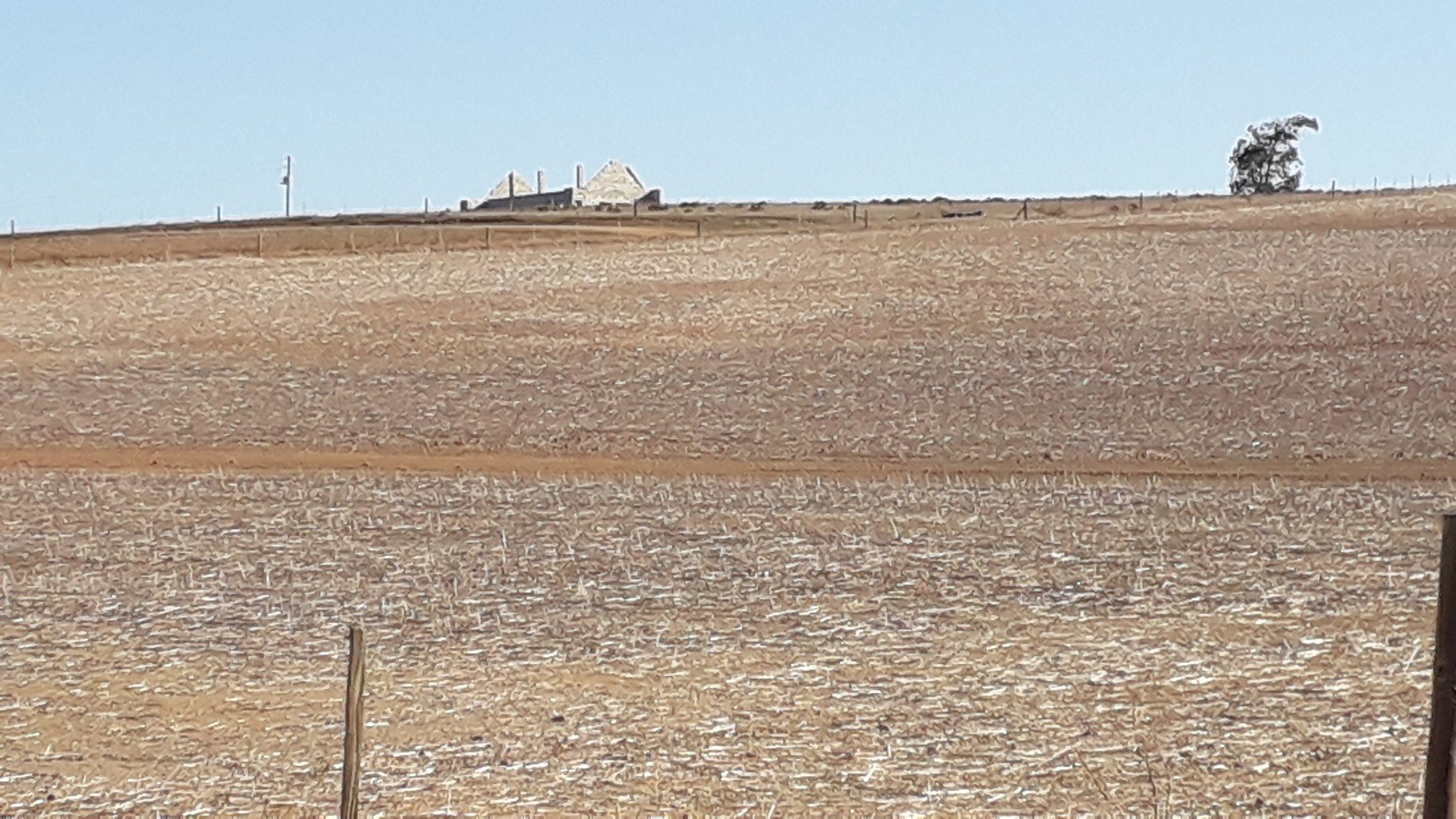 20190410_155600-1651x929