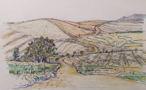 PhotoPictureResizer_190416_164307371-580x1031